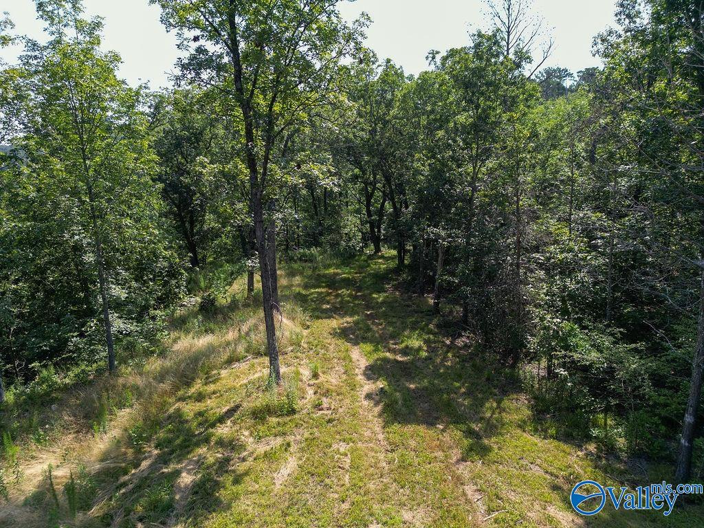 Flat Rock, Alabama 35966, United States, ,Land,Active,171414