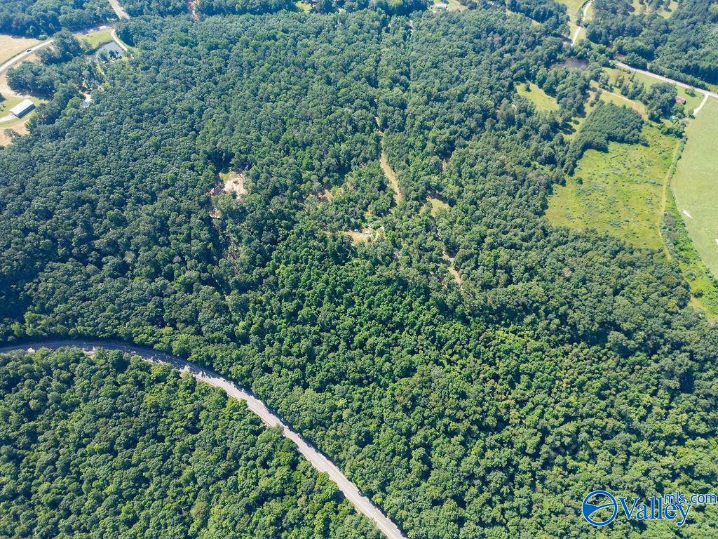 Flat Rock, Alabama 35966, United States, ,Land,Active,171414