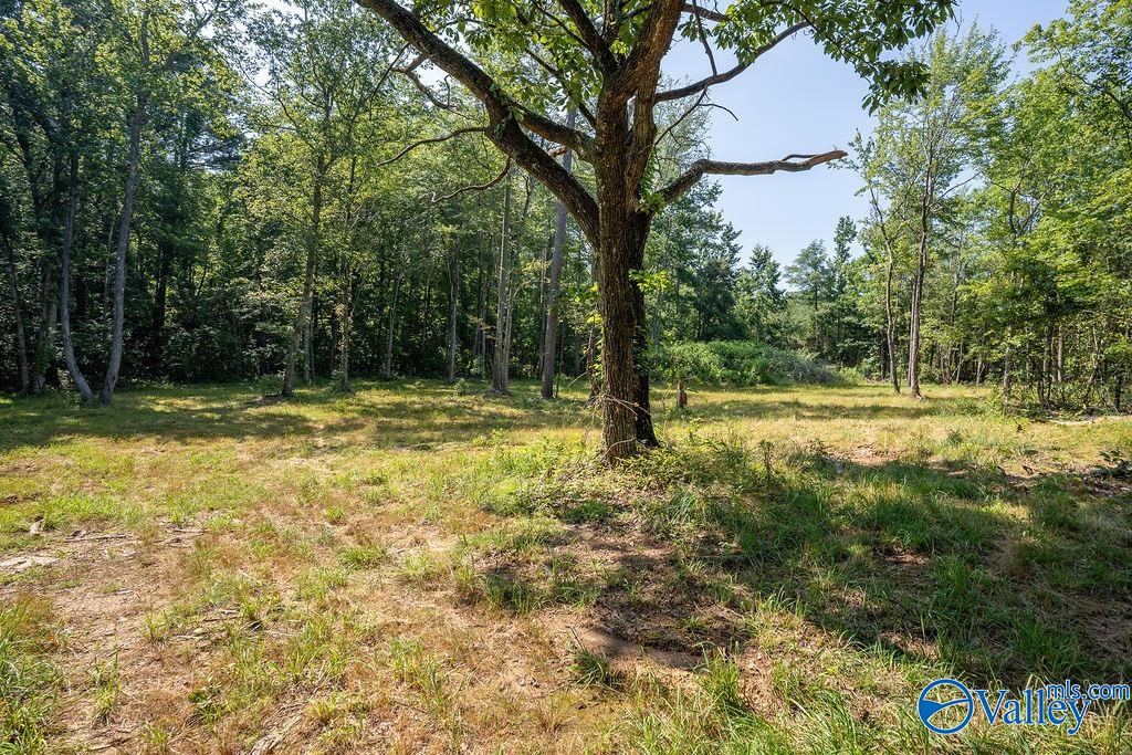 Flat Rock, Alabama 35966, United States, ,Land,Active,171414