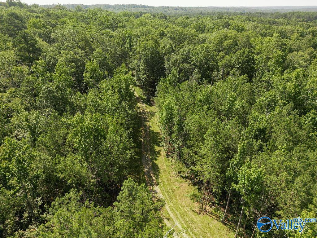 Flat Rock, Alabama 35966, United States, ,Land,Active,171414