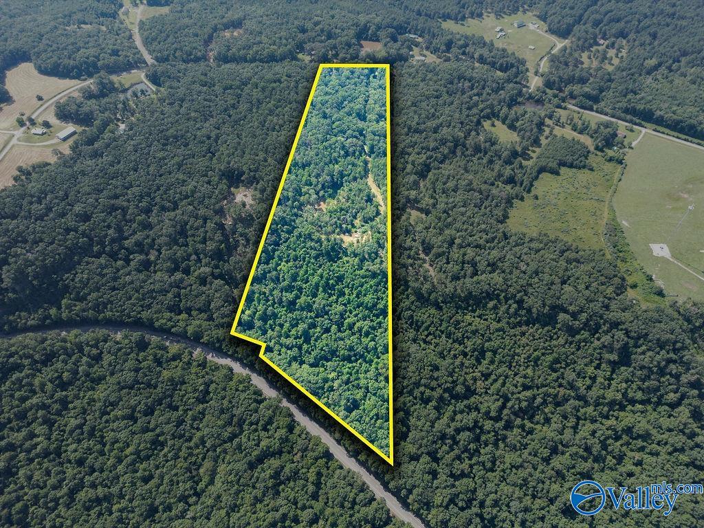 Flat Rock, Alabama 35966, United States, ,Land,Active,171414