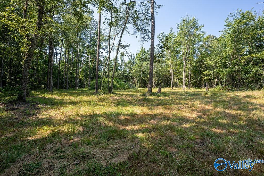 Flat Rock, Alabama 35966, United States, ,Land,Active,171414