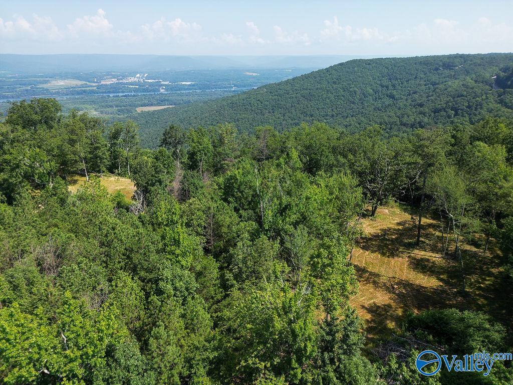 Flat Rock, Alabama 35966, United States, ,Land,Active,171414