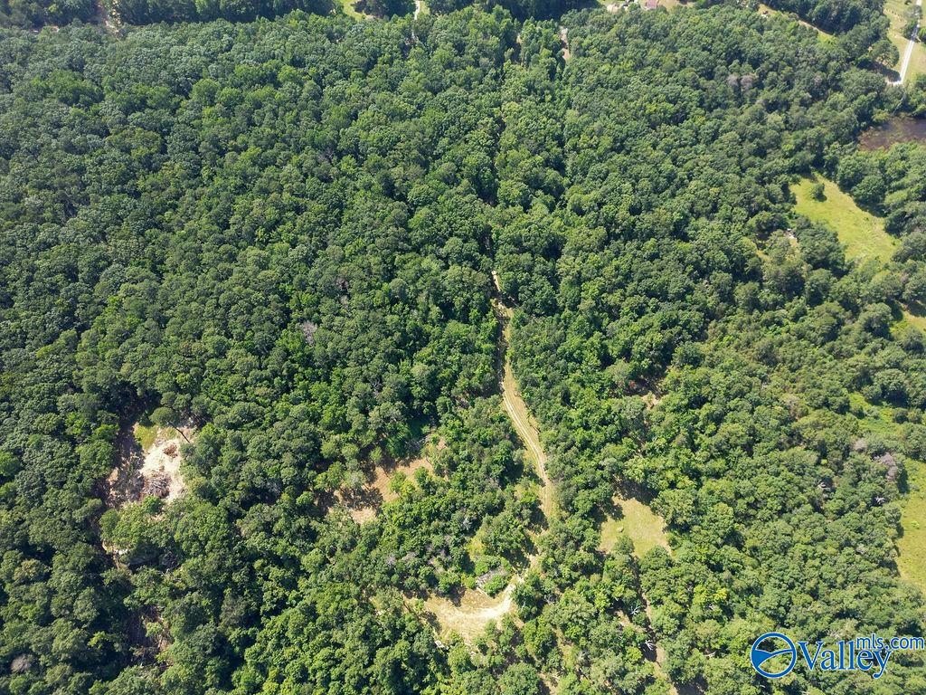 Flat Rock, Alabama 35966, United States, ,Land,Active,171414