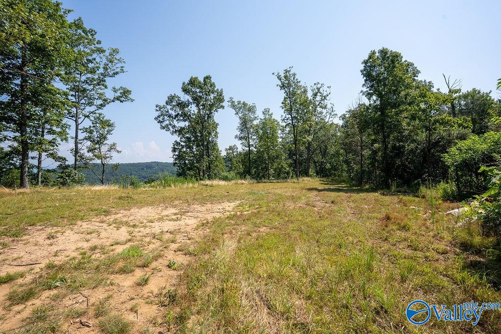 Flat Rock, Alabama 35966, United States, ,Land,Active,171414