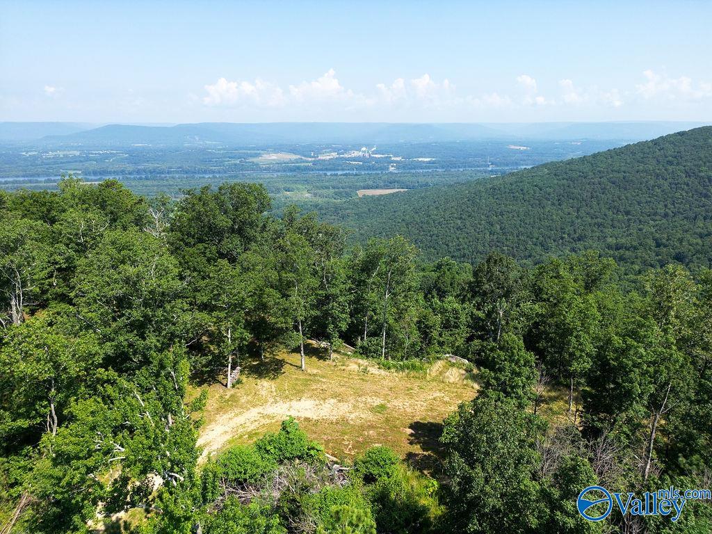 Flat Rock, Alabama 35966, United States, ,Land,Active,171414