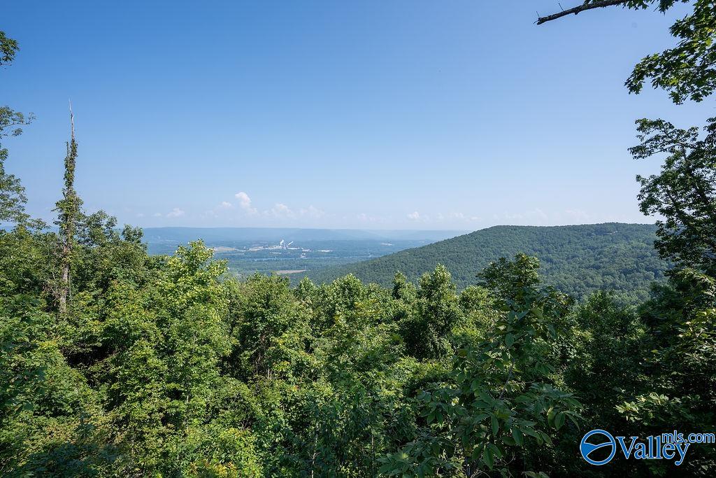 Flat Rock, Alabama 35966, United States, ,Land,Active,171414