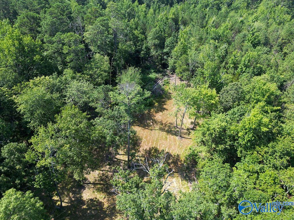 Flat Rock, Alabama 35966, United States, ,Land,Active,171414