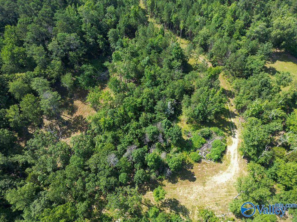 Flat Rock, Alabama 35966, United States, ,Land,Active,171414