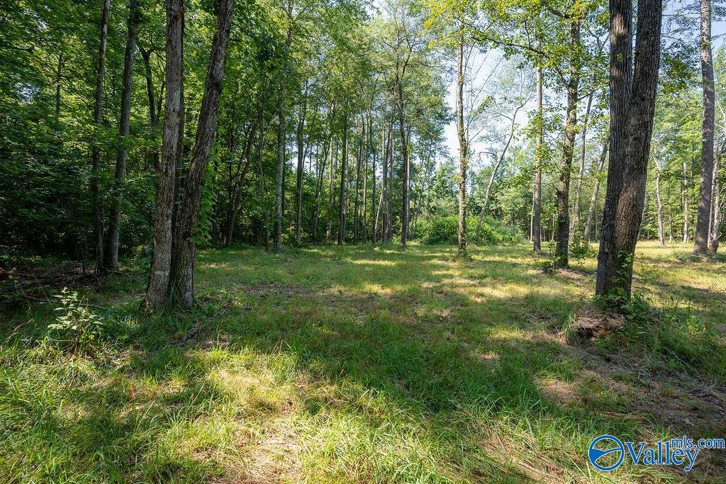 Flat Rock, Alabama 35966, United States, ,Land,Active,171414