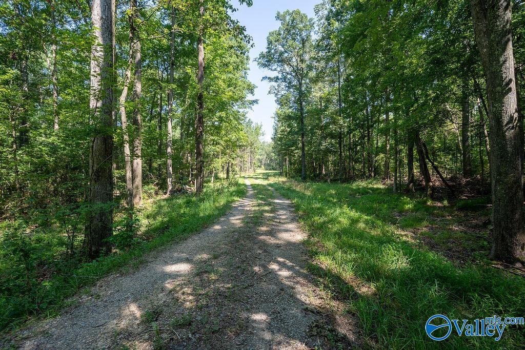 Flat Rock, Alabama 35966, United States, ,Land,Active,171414