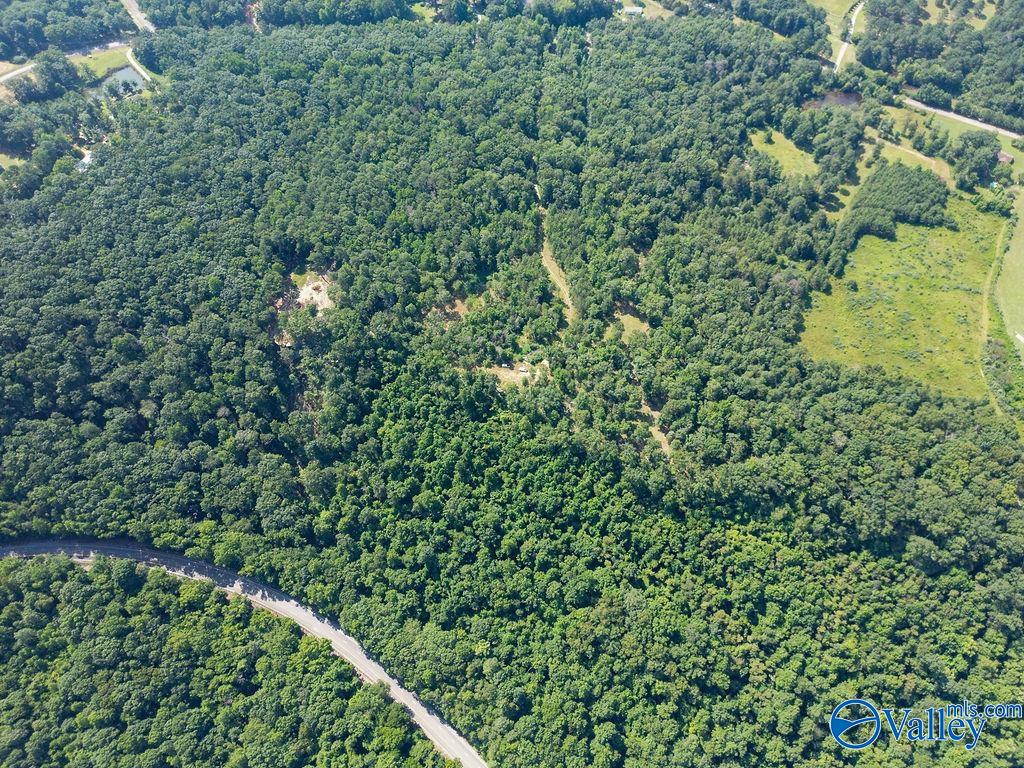 Flat Rock, Alabama 35966, United States, ,Land,Active,171414