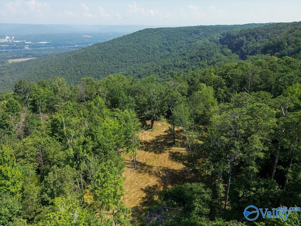 Flat Rock, Alabama 35966, United States, ,Land,Active,171414