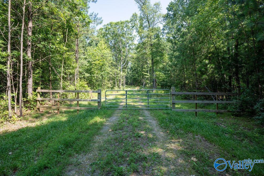 Flat Rock, Alabama 35966, United States, ,Land,Active,171414