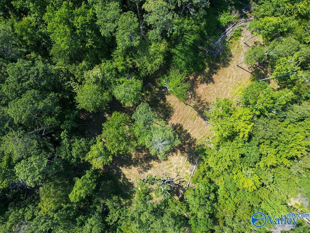 Flat Rock, Alabama 35966, United States, ,Land,Active,171414