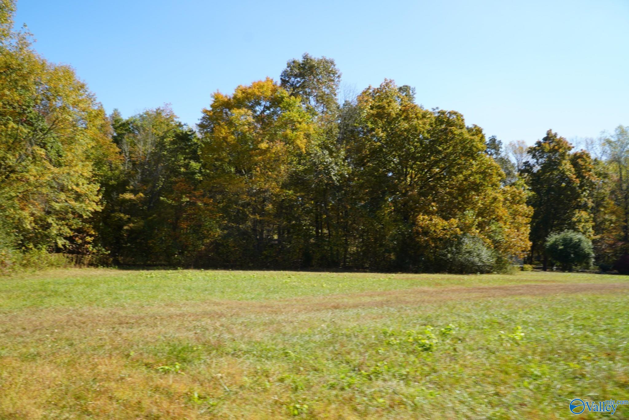 7.8 Acres Hilldale Church Road, Fayetteville, Tennessee image 2
