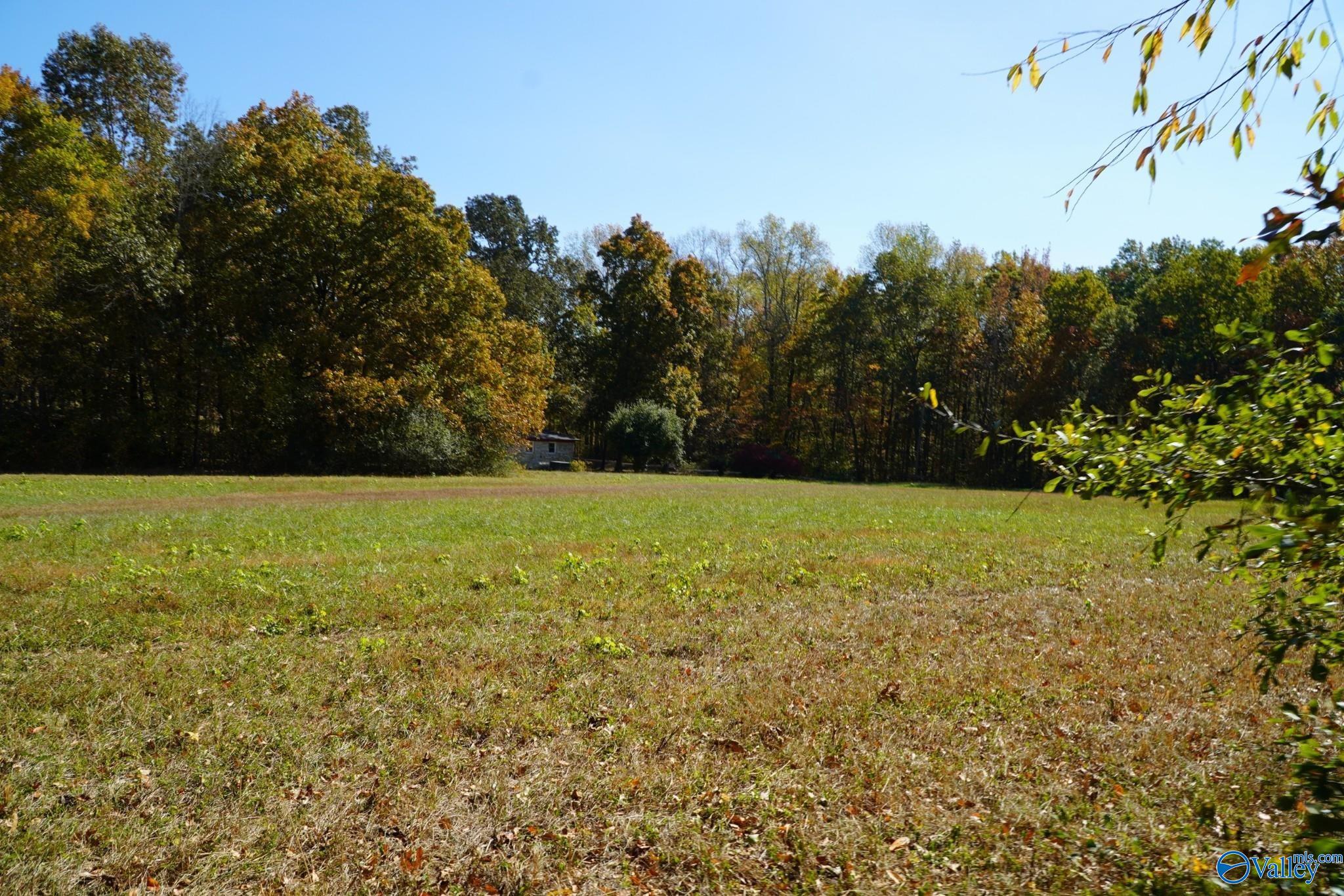 7.8 Acres Hilldale Church Road, Fayetteville, Tennessee image 3