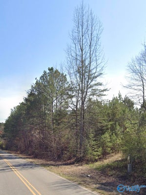 1960 COUNTY ROAD 46, GAYLESVILLE, AL 35973 - Image 6fa28aedbb3b2f57dd36c68741fd0818/598832148
