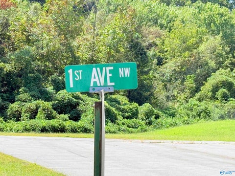 Vacant Land For Sale - 5.6 1st Avenue<br/> Marshall County, Arab, AL 35016