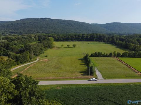 Vacant Land For Sale - 310 - 1C Little Cove Road<br/> Gurley, AL 35748