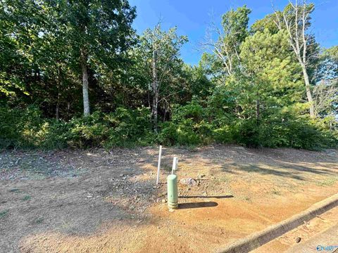 Vacant Land For Sale - 11 Selma Street<br/> Decatur, AL 35603
