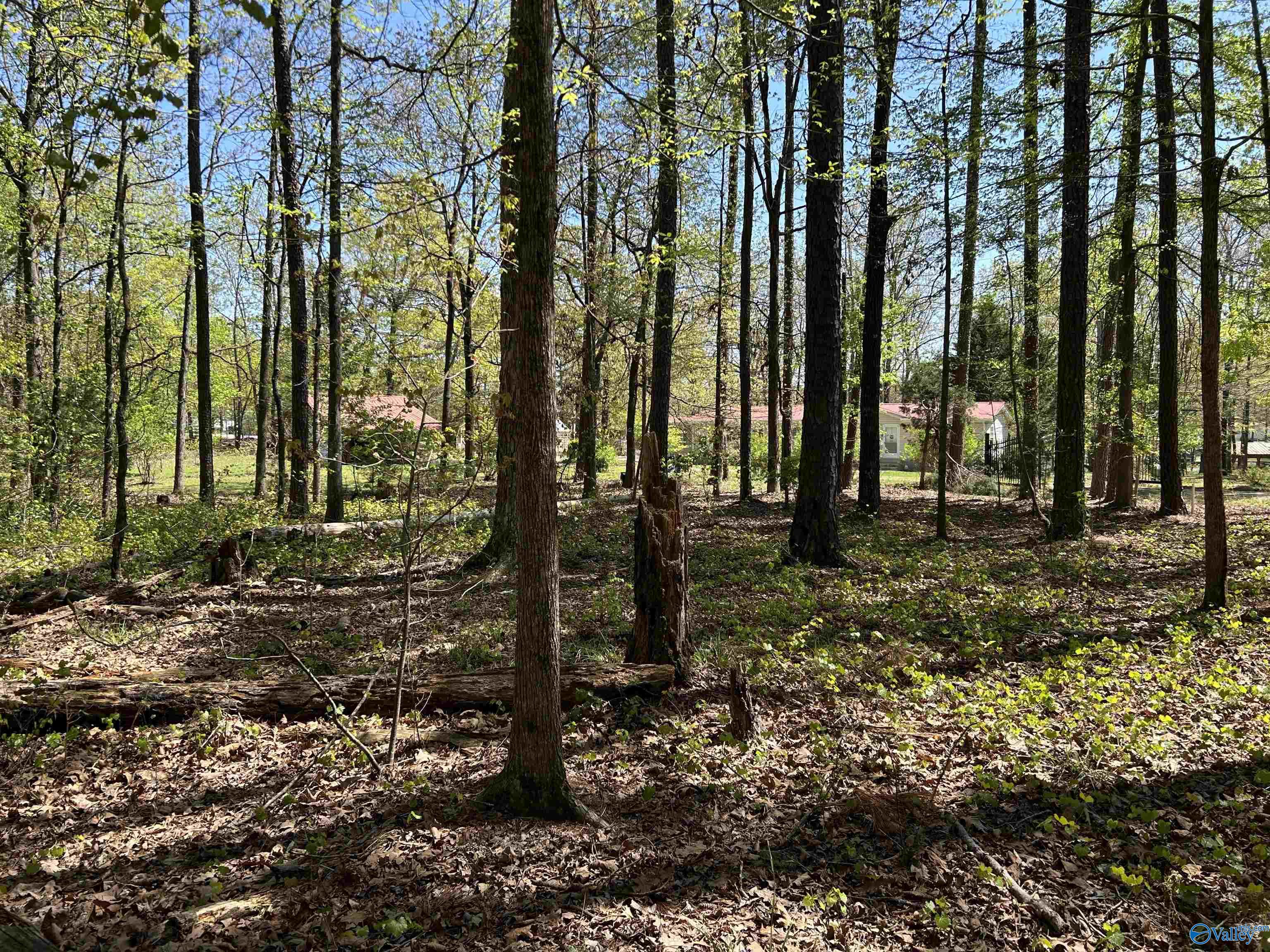 1429 County Road 131, Cedar Bluff, Alabama image 30