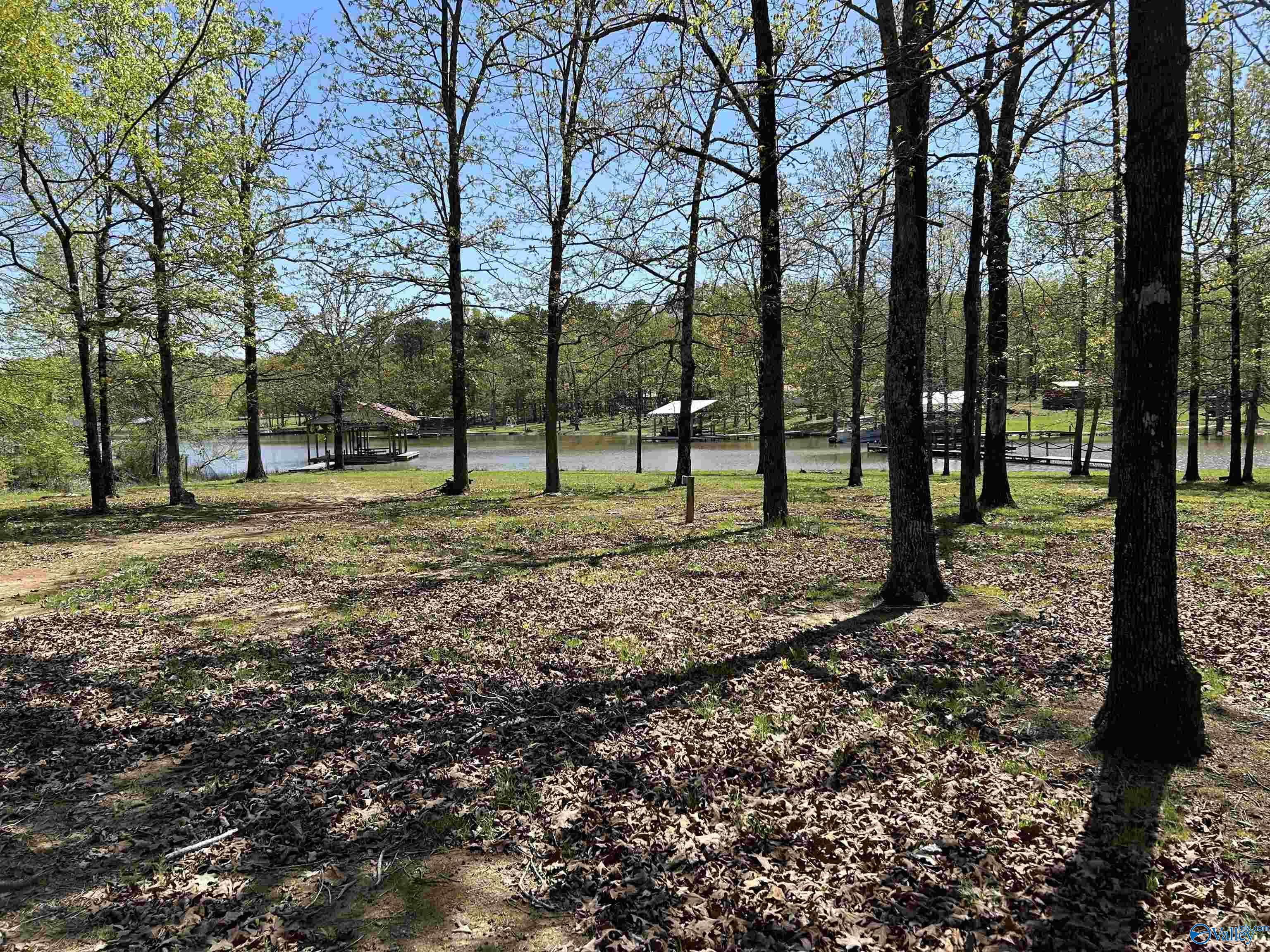1429 County Road 131, Cedar Bluff, Alabama image 29