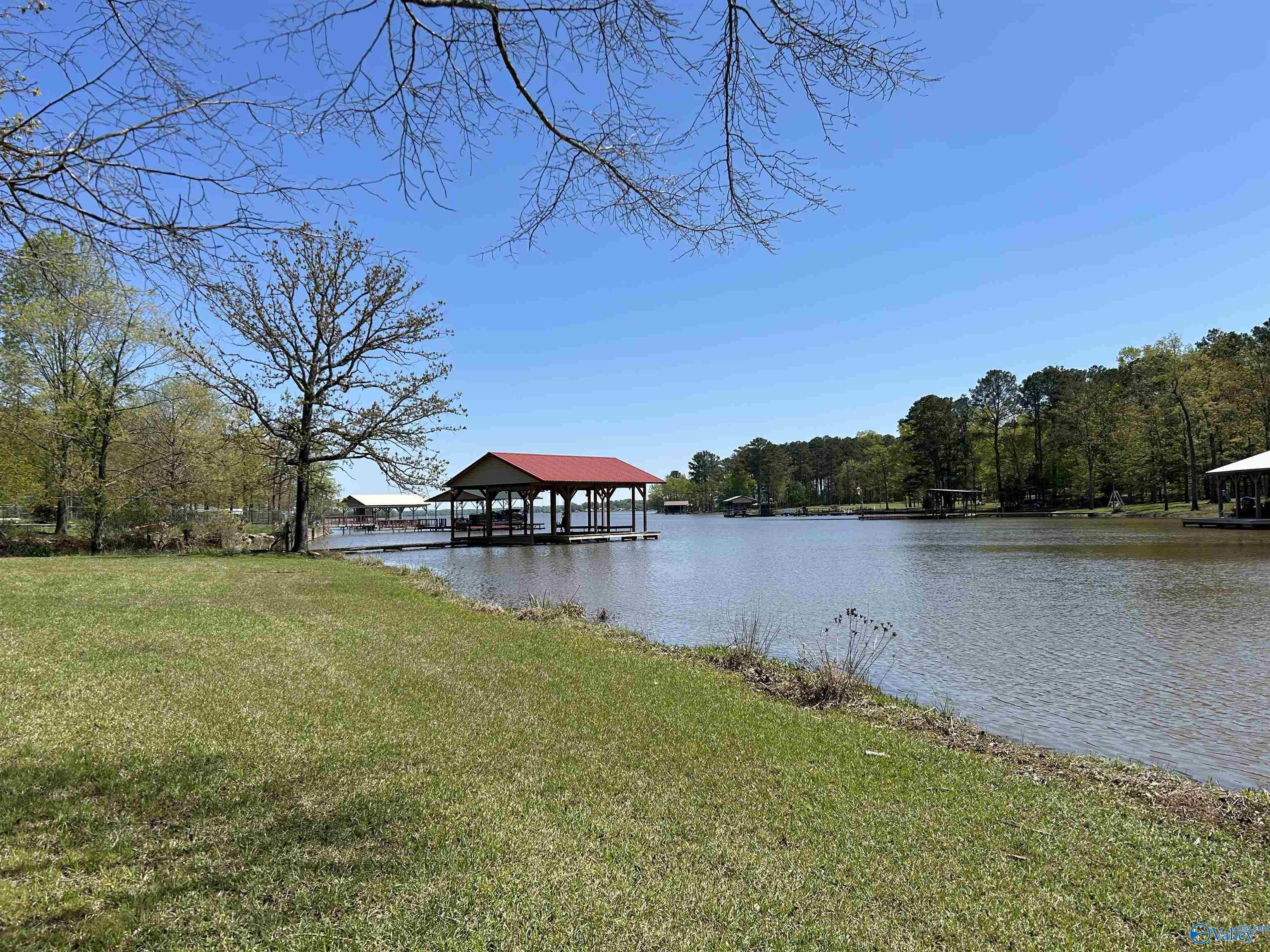 1429 County Road 131, Cedar Bluff, Alabama image 1