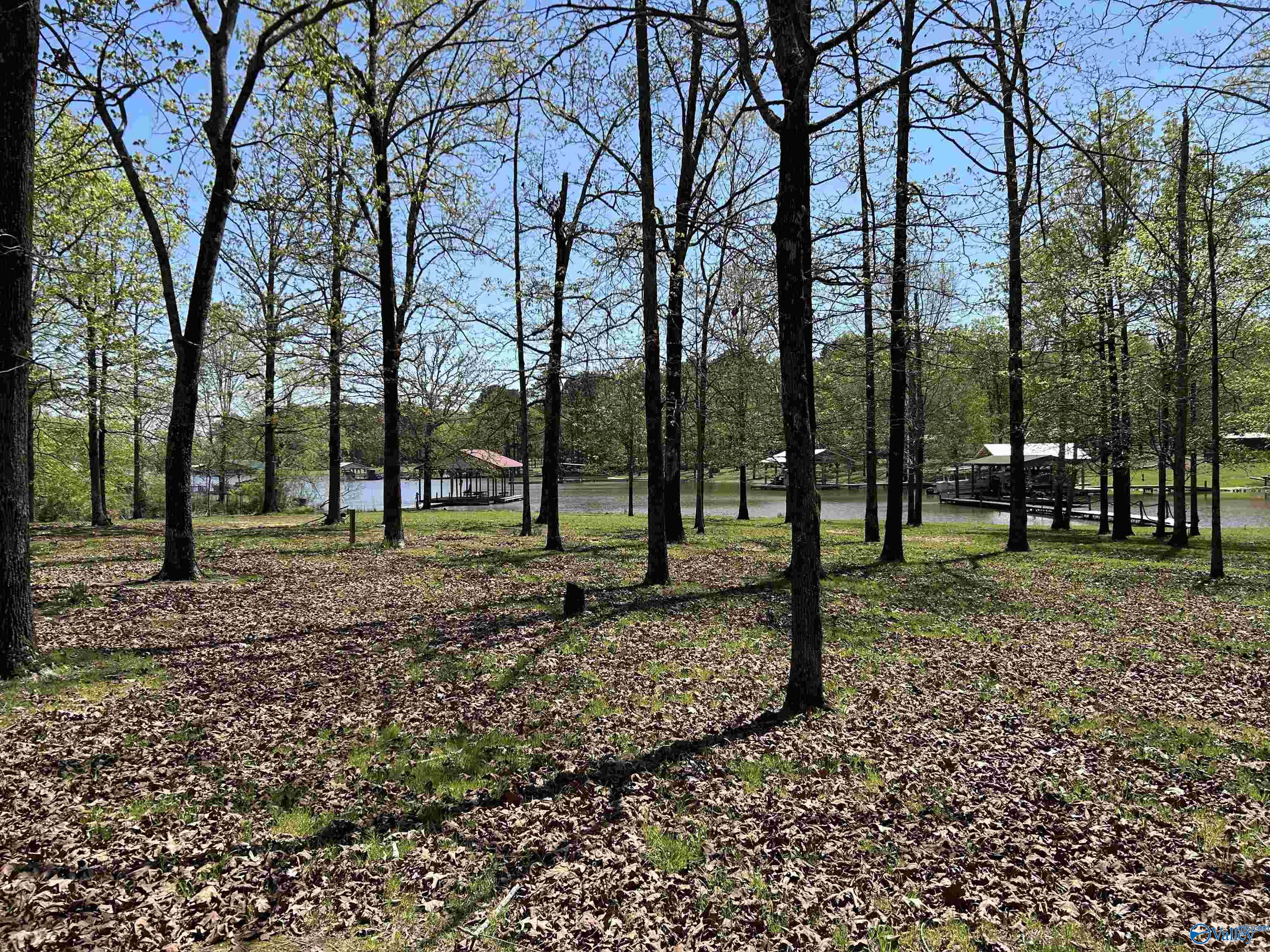1429 County Road 131, Cedar Bluff, Alabama image 18