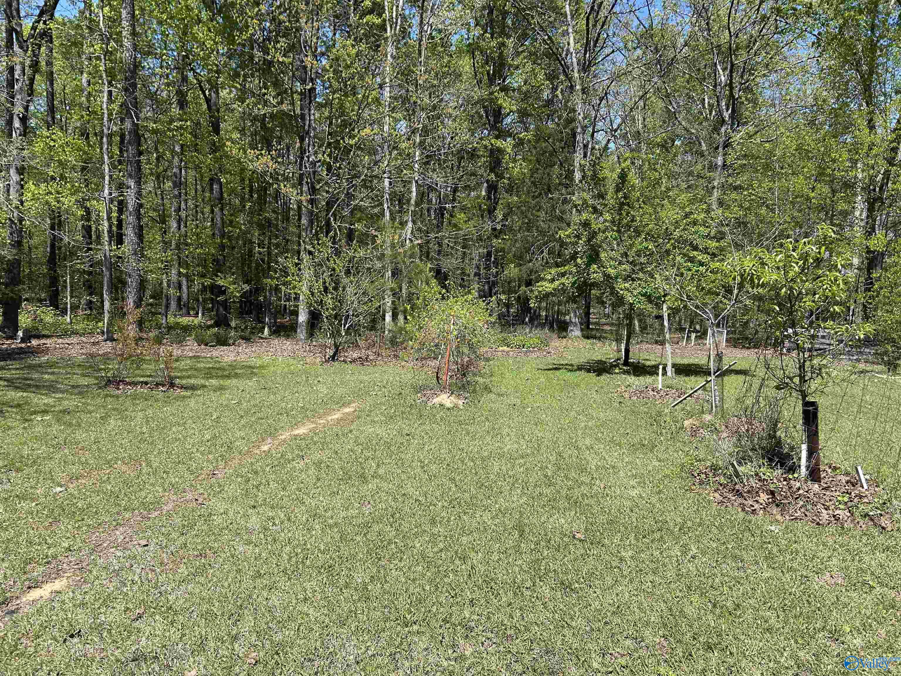 1429 County Road 131, Cedar Bluff, Alabama image 32