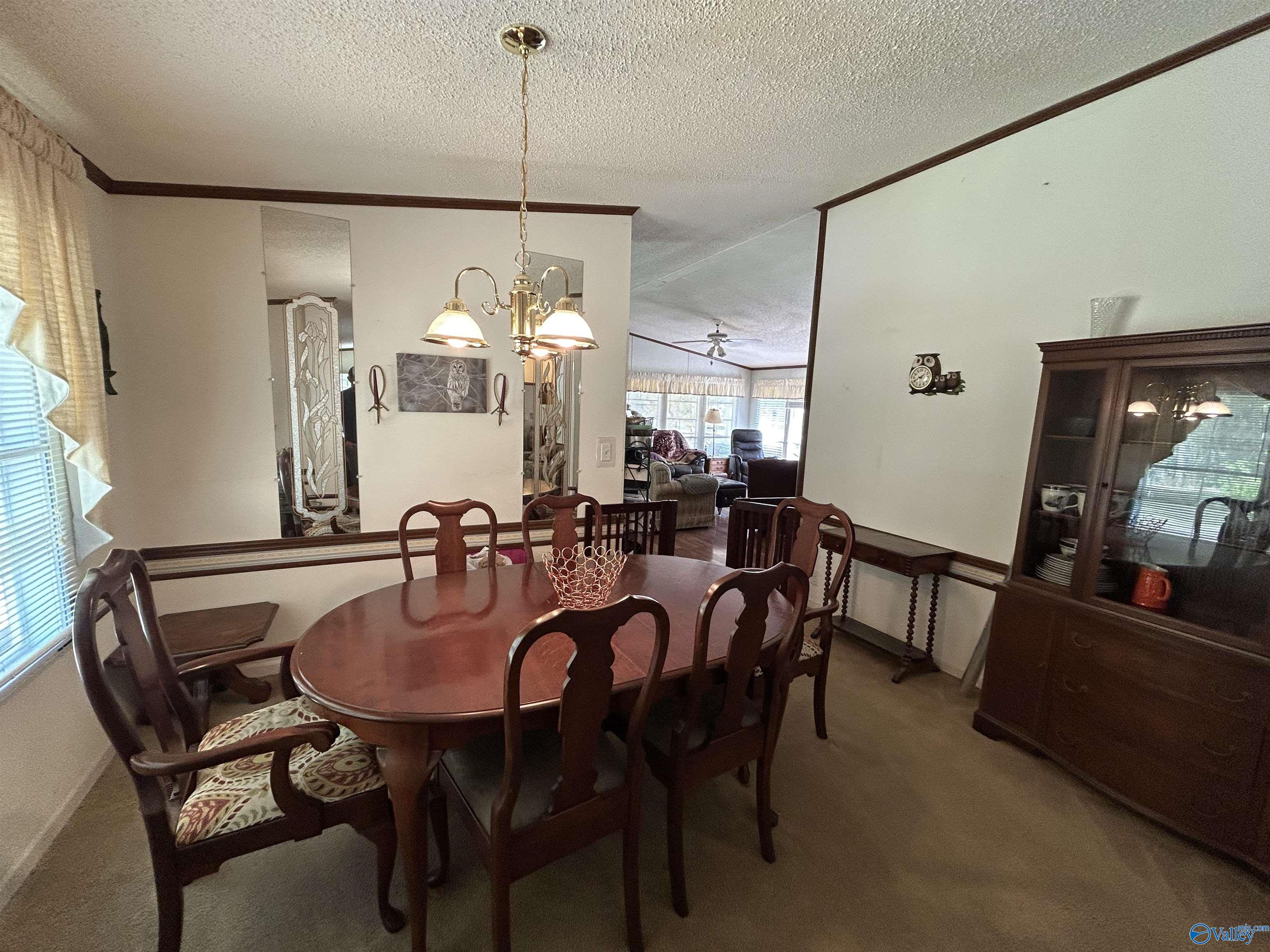 1429 County Road 131, Cedar Bluff, Alabama image 8