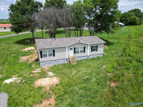 Mobile Home For Sale - 39162 Alabama Highway 75<br/> Fyffe, AL 35971