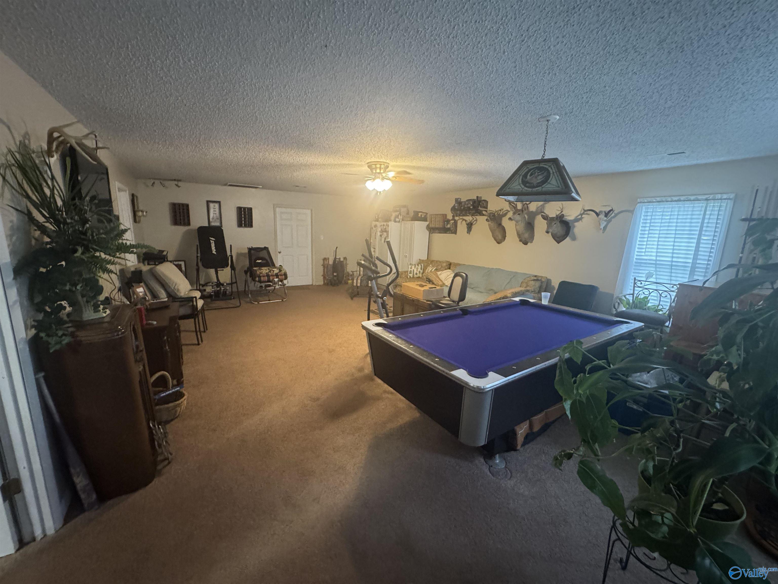 7289 County Road 1082, Vinemont, Alabama image 22