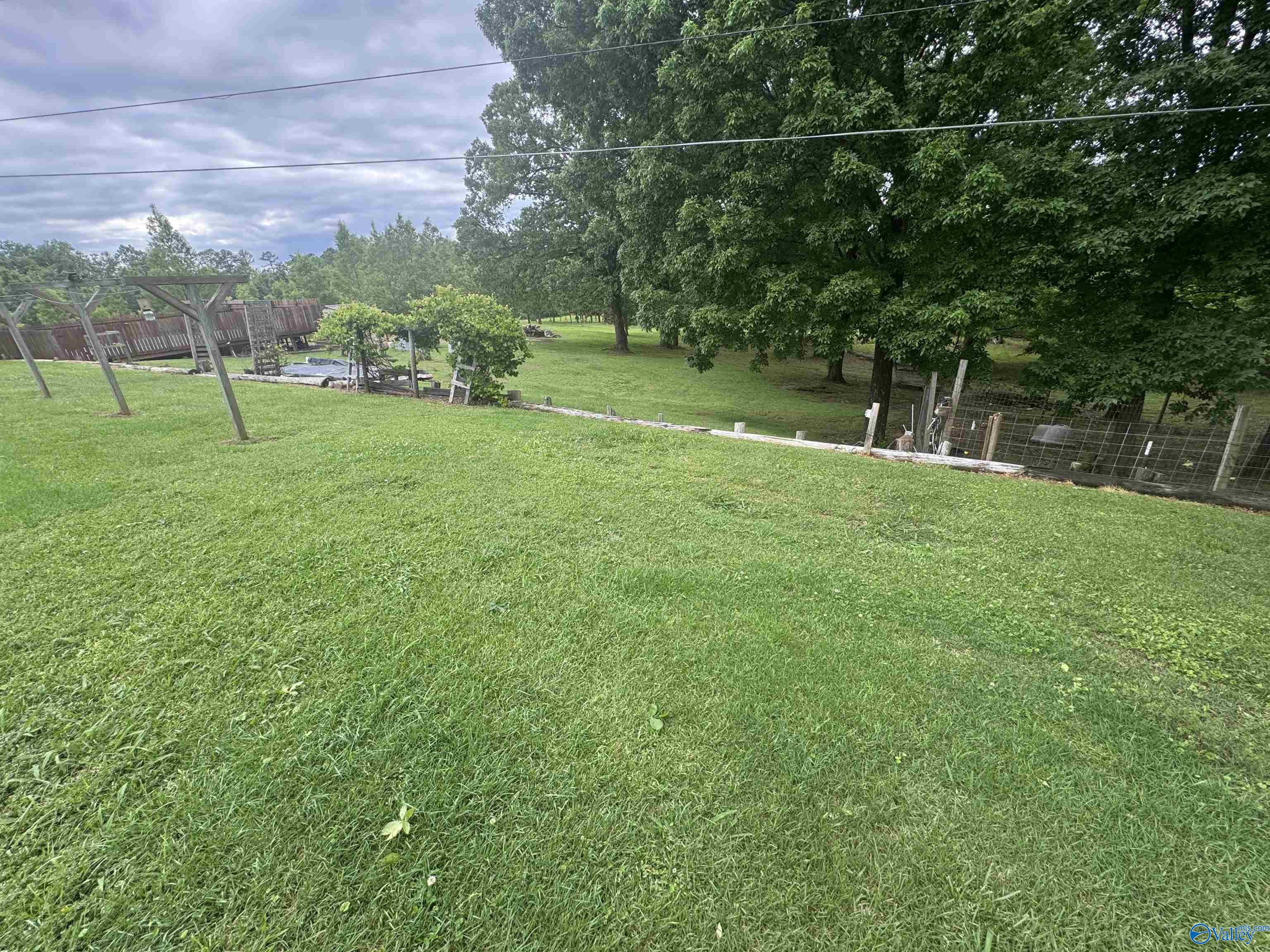 7289 County Road 1082, Vinemont, Alabama image 7