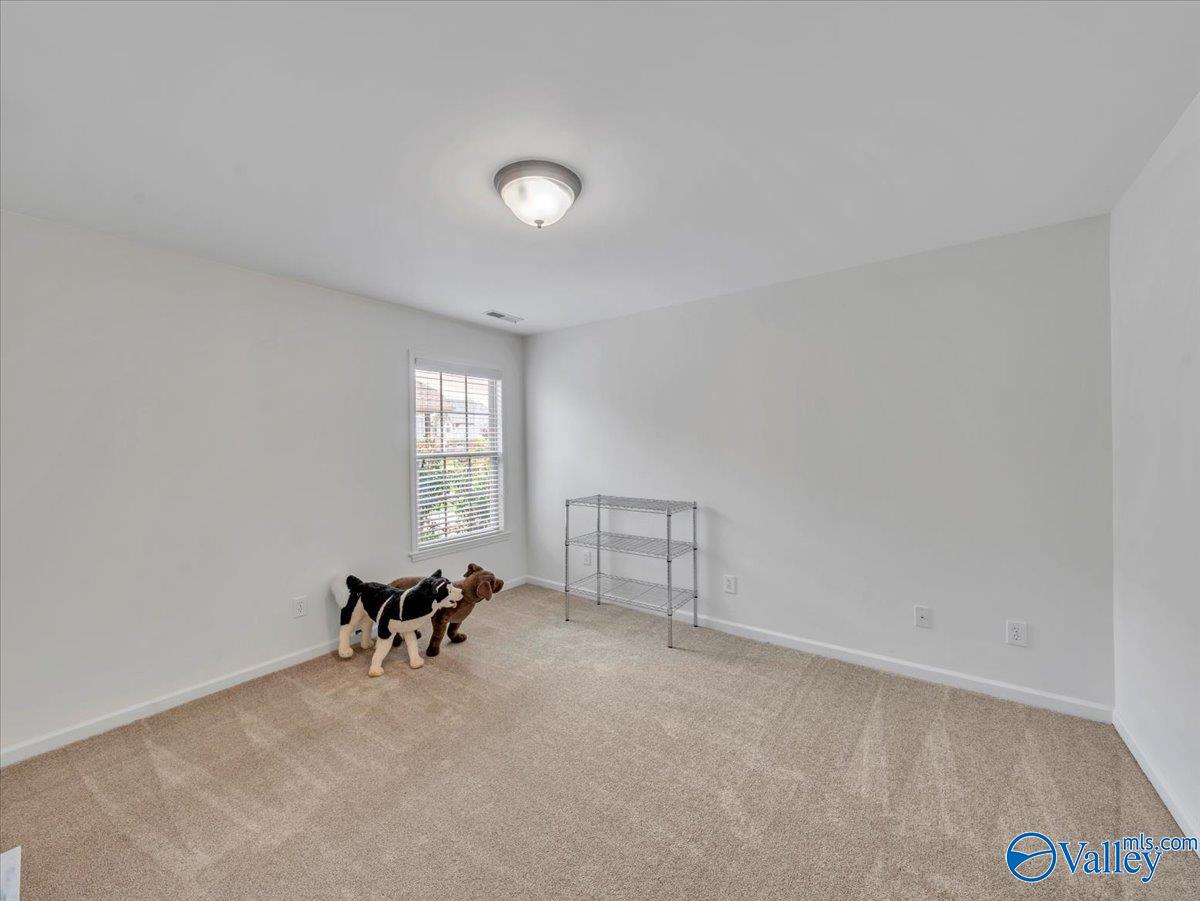133 Mildred Way, Madison, Alabama image 13