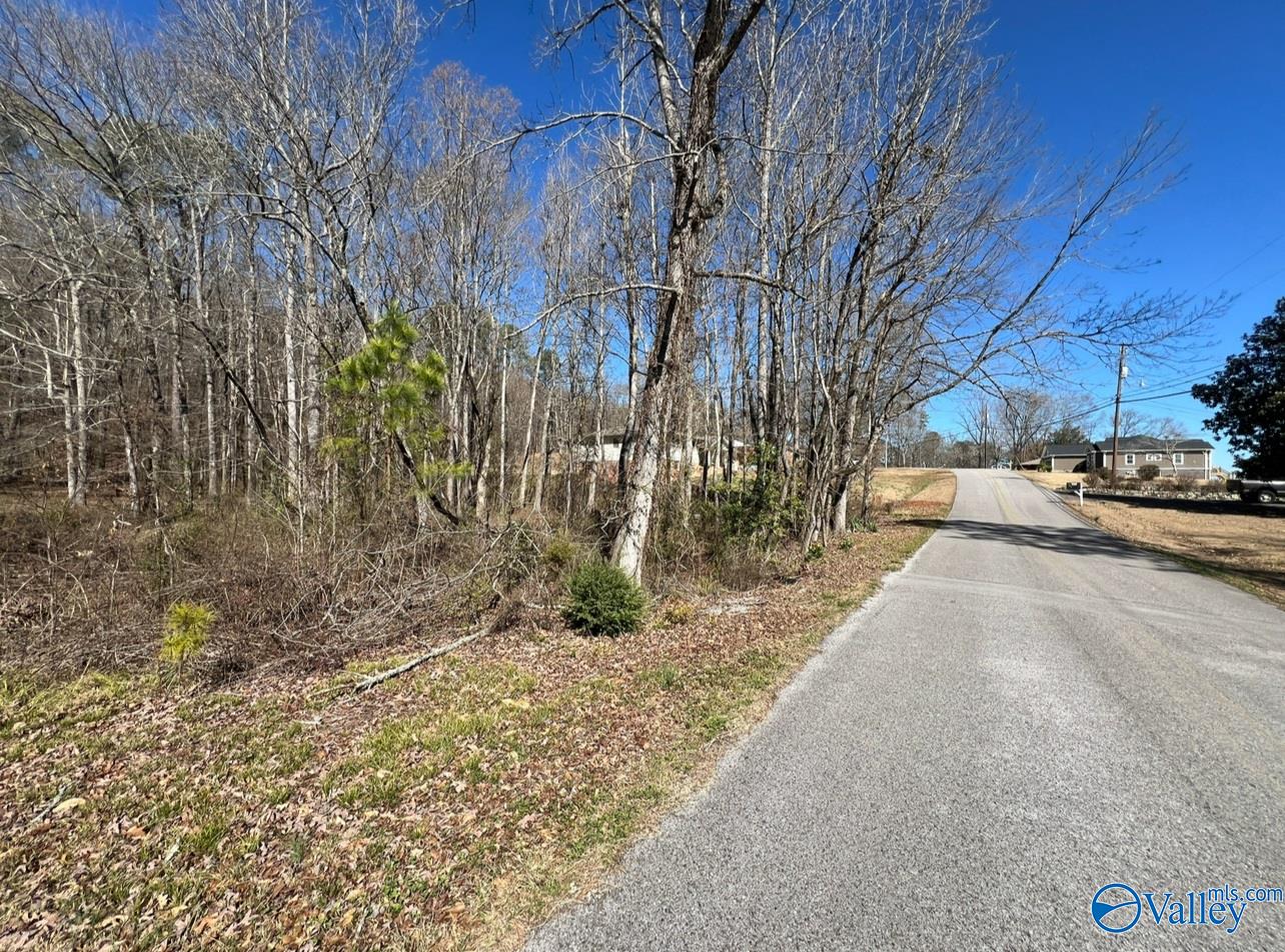 1 Lakeshore Drive, Rainbow City, Alabama image 1