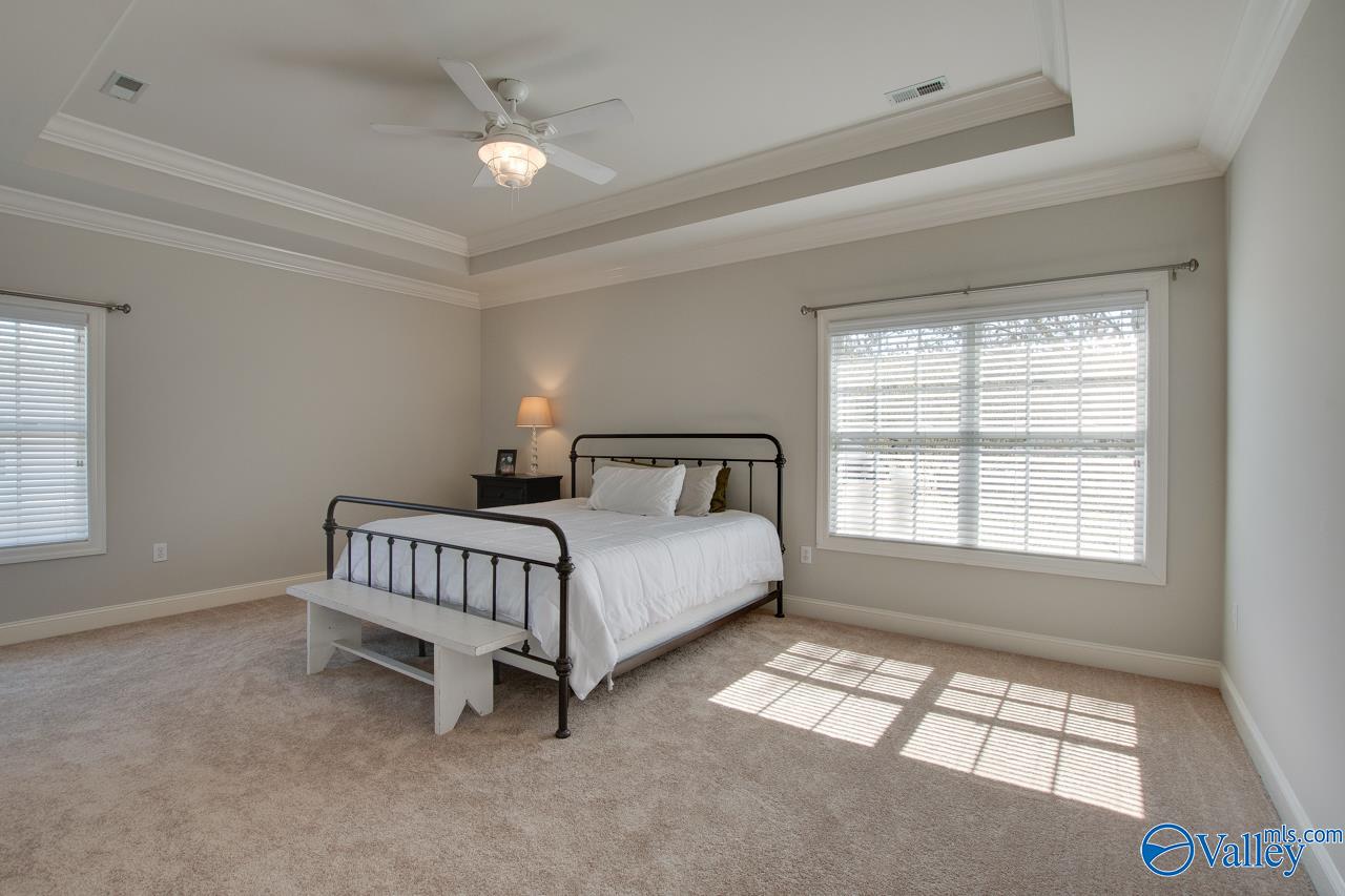 2812 Winterberry Way, Owens Cross Roads, Alabama image 32