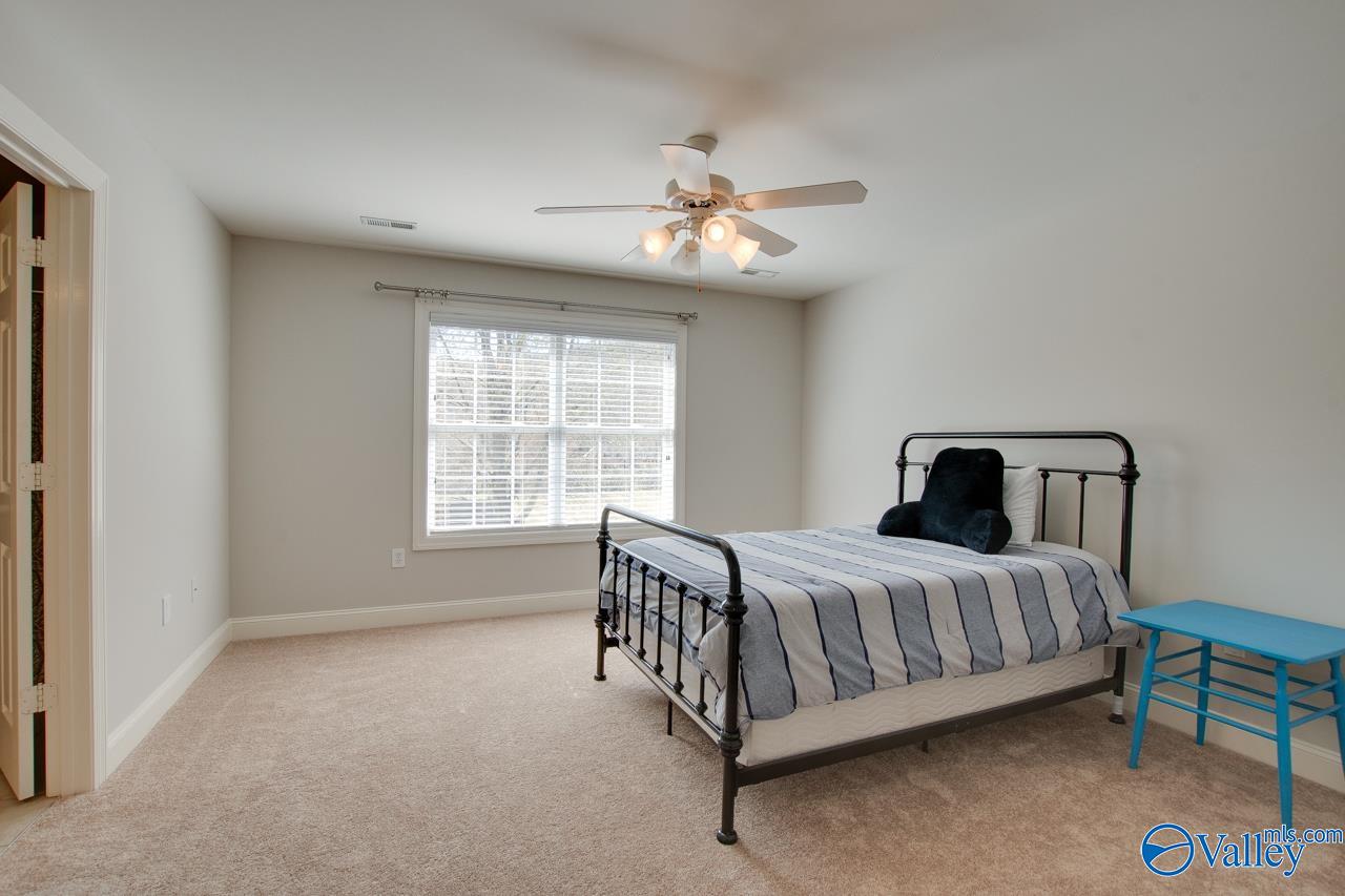 2812 Winterberry Way, Owens Cross Roads, Alabama image 35