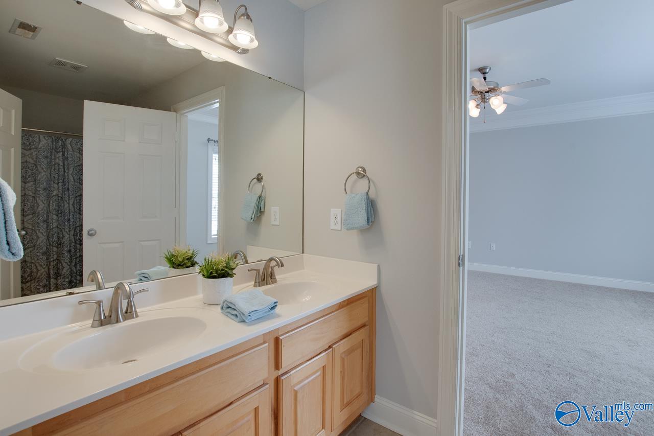 2812 Winterberry Way, Owens Cross Roads, Alabama image 37