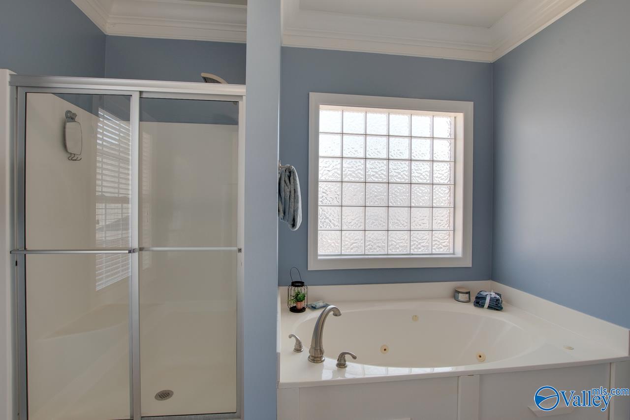 2812 Winterberry Way, Owens Cross Roads, Alabama image 33