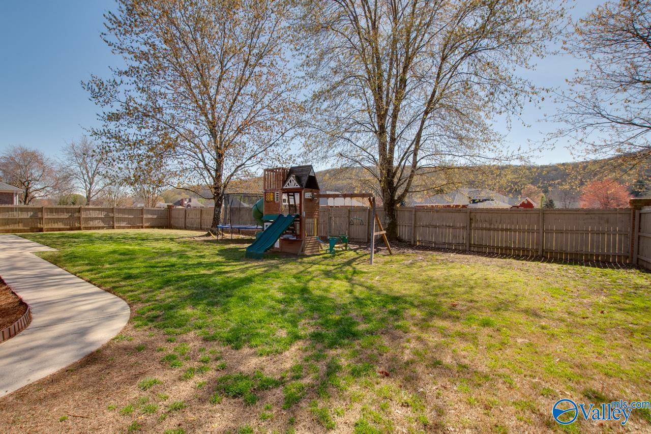 2812 Winterberry Way, Owens Cross Roads, Alabama image 10