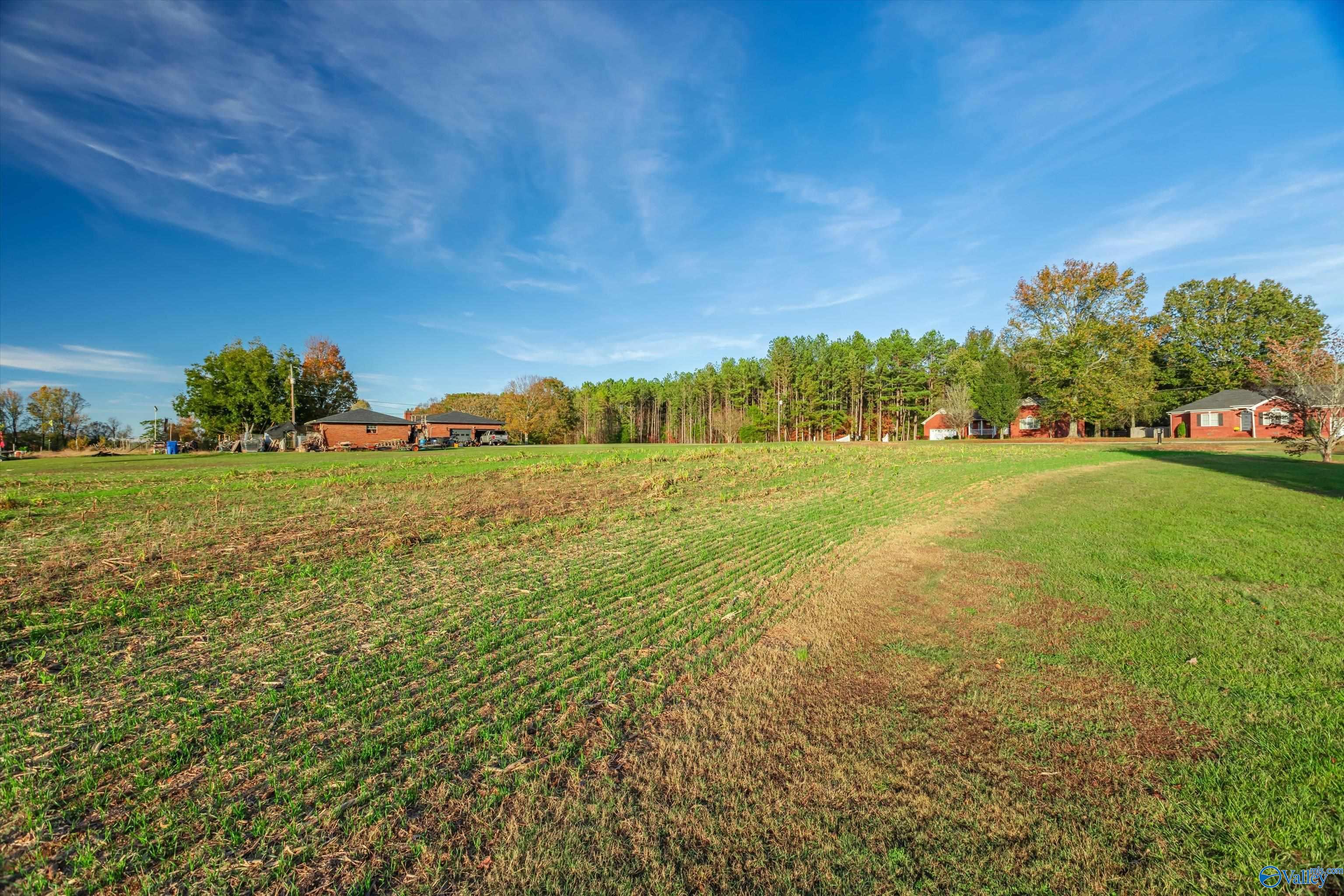 1.24 Acres Reid Road, Athens, Alabama image 11