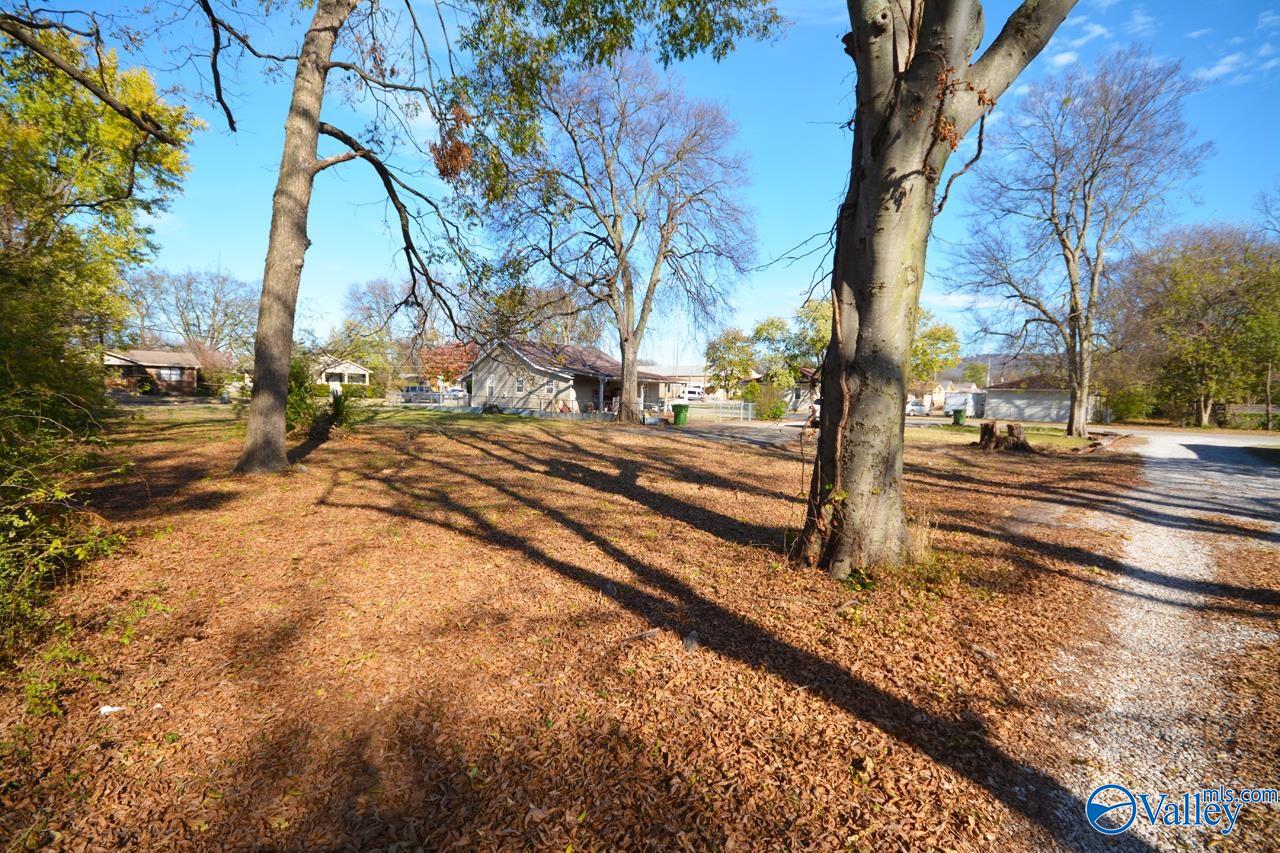 214 NE Beirne Avenue, Huntsville, Alabama image 5