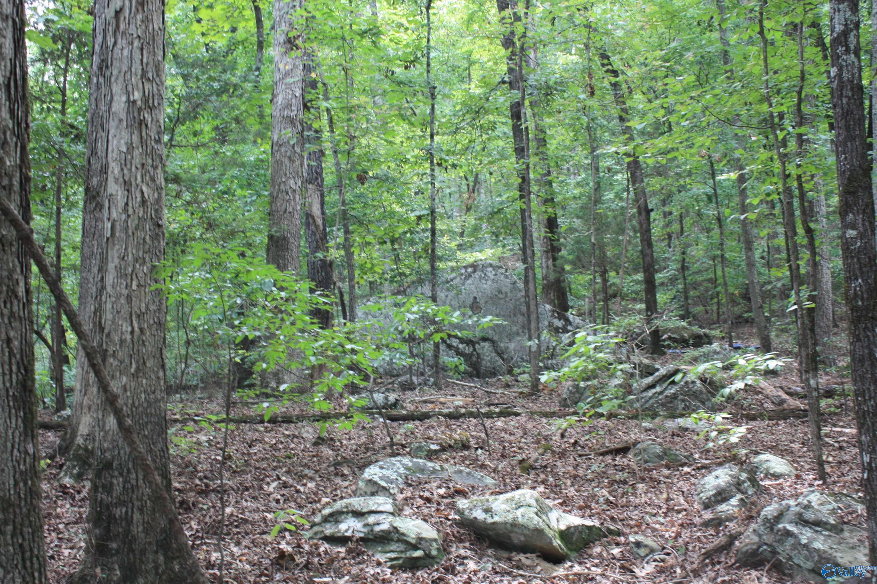 A 1 Walter Bird Drive, Owens Cross Roads, Alabama image 9