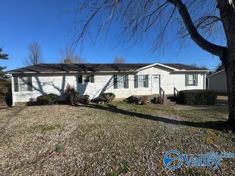 Photo of 273 Bo Howard Road, Toney, AL 35773 (MLS # 21908898)