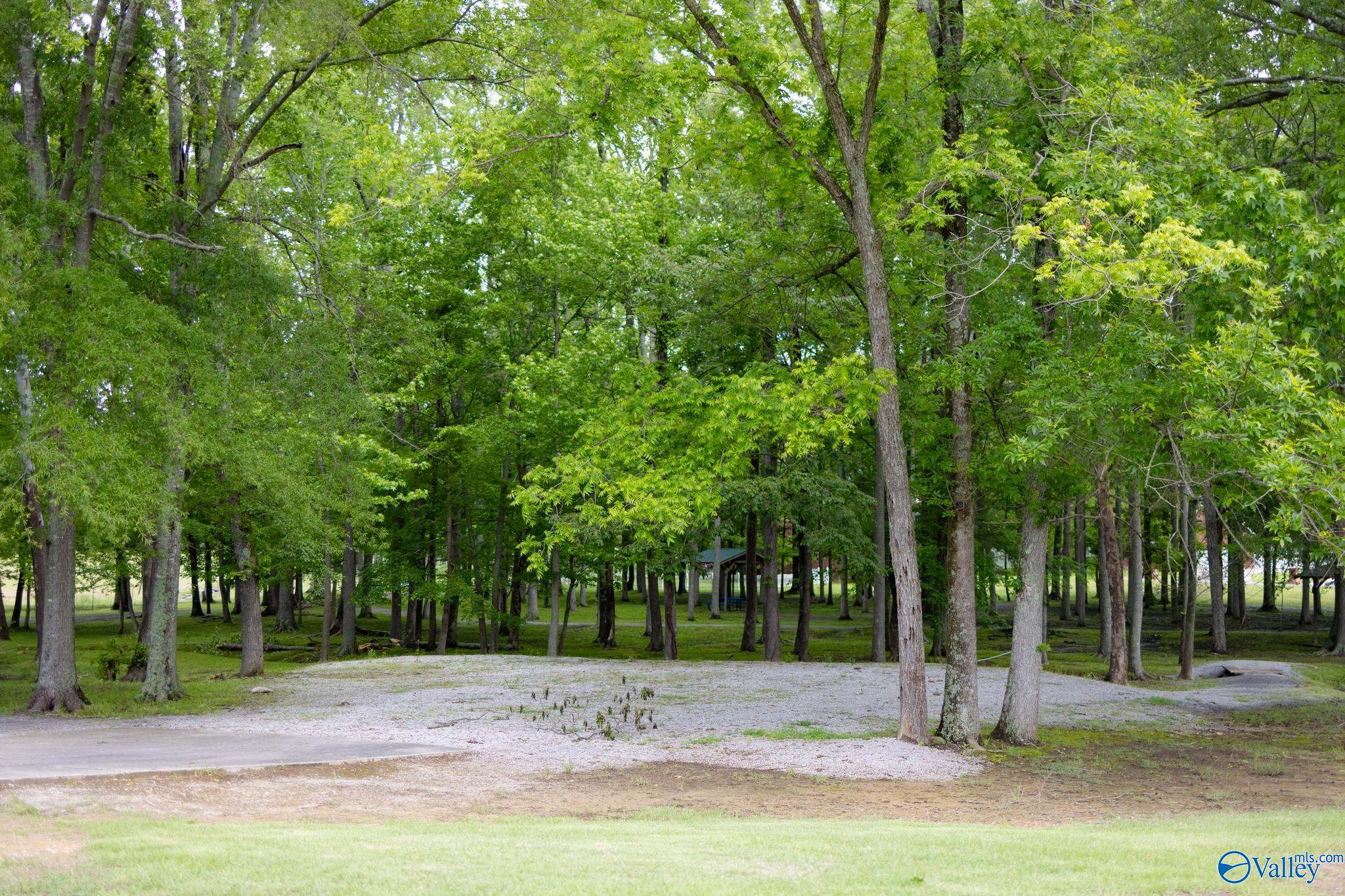 1508 Berrivine Drive, Hartselle, Alabama image 43
