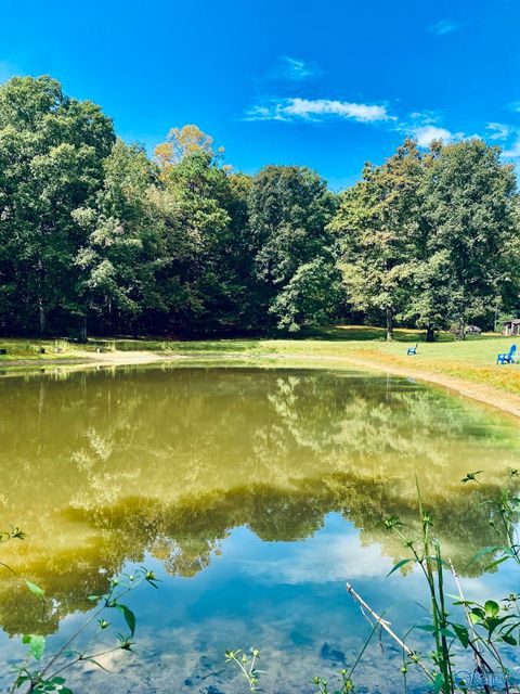 Homes For Sale - 314 County Road 955<br/> Valley Head, AL 35989