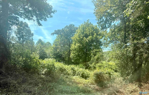 24 ACRES COUNTY ROAD 1825, ARAB, AL 35016 - Image 70b0facc7493d081ebc43c0de2d4dcad/269776178
