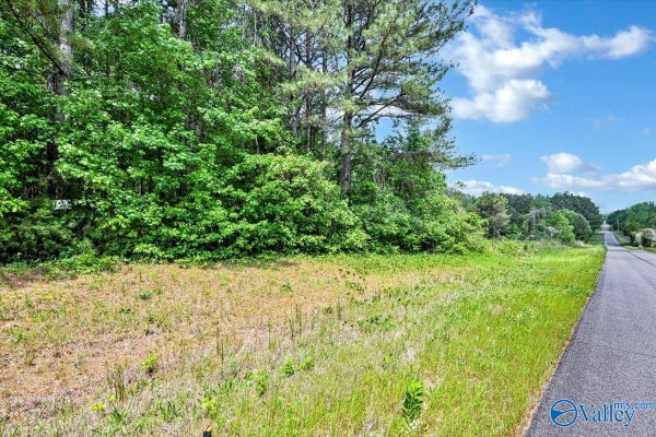 7 MILL CREEK RD, FALKVILLE, AL 35622 - Image 70c6f1be2e9d1f66eb8d088fe944b5d7/871516724