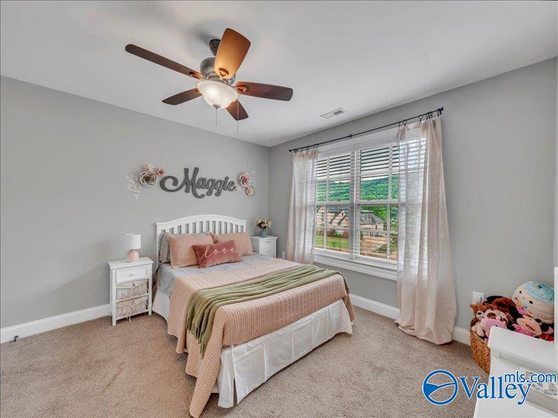 15 Taylors Brook Way, Gurley, Alabama image 37